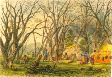 Campamento de azúcar indio, 1853